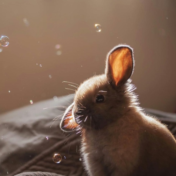 Meet your Posher, Christine - Picture 1 of 1